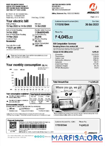 Printable PHILIPPINES MERALCO utility bill Word and PDF template